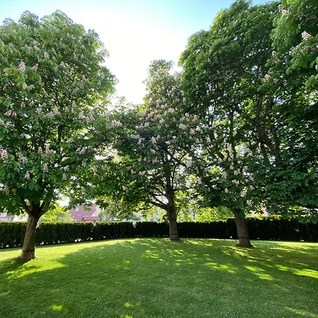 Roessle Eberhardzell Furamoos