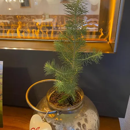 Мини-отель Roessle Eberhardzell 3*